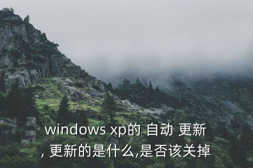 windows xp的 自動 更新, 更新的是什么,是否該關(guān)掉