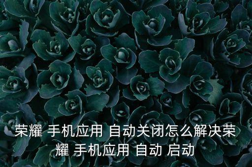 榮耀 手機應(yīng)用 自動關(guān)閉怎么解決榮耀 手機應(yīng)用 自動 啟動