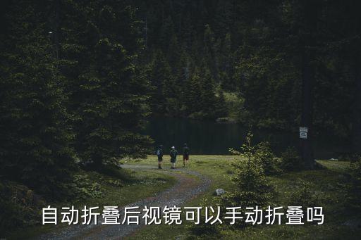 自動(dòng)折疊電動(dòng)折疊,電動(dòng)折疊后視鏡功能與手動(dòng)調(diào)節(jié)不同