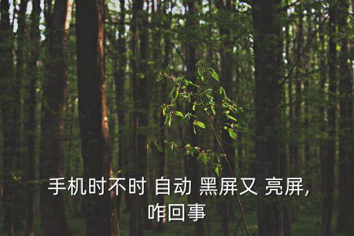 手機黑屏后自動亮屏,手機突然黑屏怎么辦?