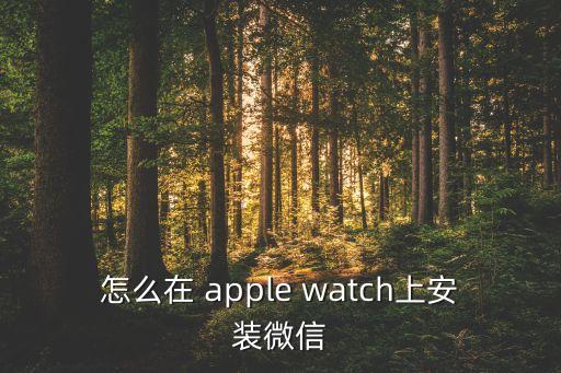 怎么在 apple watch上安裝微信