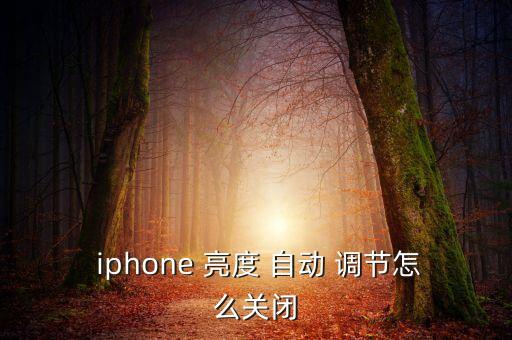 iphone自動(dòng)亮度調(diào)節(jié),如何進(jìn)行自動(dòng)亮度調(diào)節(jié)?
