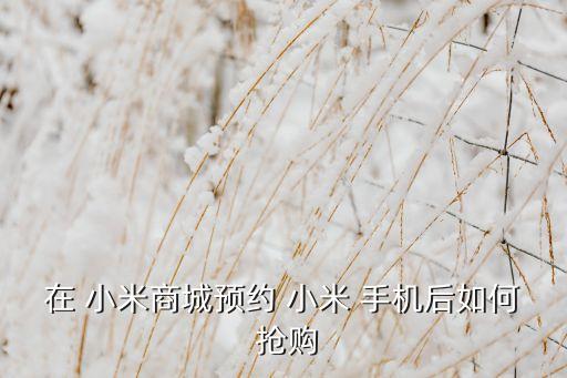 小米手機(jī)自動搶購工具,手機(jī)同時登錄搶電腦可增搶手機(jī)成功率