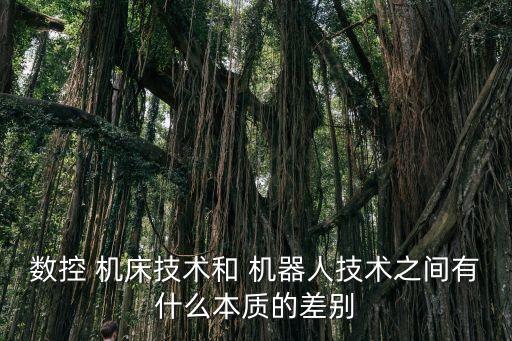 數(shù)控 機(jī)床技術(shù)和 機(jī)器人技術(shù)之間有什么本質(zhì)的差別
