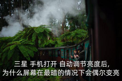  三星 手機(jī)打開 自動(dòng)調(diào)節(jié)亮度后,為什么屏幕在最暗的情況下會(huì)偶爾變亮