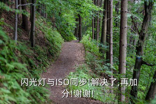 自動(dòng)iso 閃光燈,新手教你如何使用ttl閃光燈拍照?