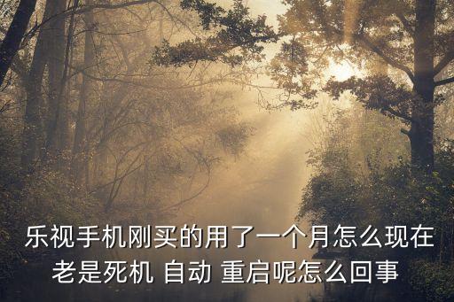 樂視管家有自動重啟么,關閉手機自帶軟件管家十秒后重啟