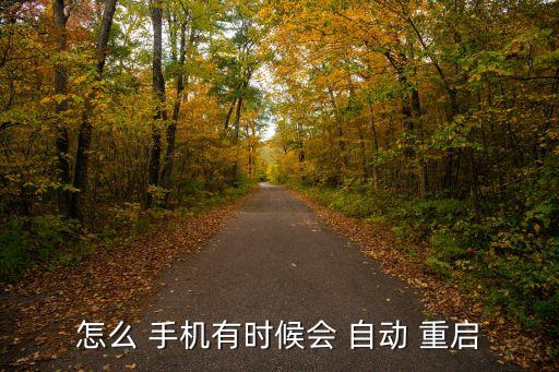 手機設(shè)置自動重啟,手機頻繁自動重啟或因系統(tǒng)或硬件問題所致