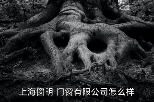 上海窗明 門窗有限公司怎么樣