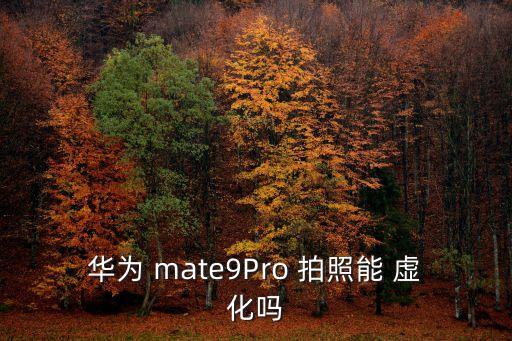 華為 mate9Pro 拍照能 虛化嗎