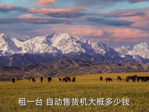 豪車自動售賣機多少錢,微信自動售貨機多少錢?一般價格比較貴