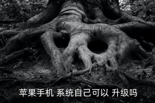 蘋果系統(tǒng)自動(dòng)升級(jí)的嗎,蘋果手機(jī)經(jīng)常提示自動(dòng)update系統(tǒng)