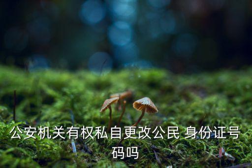 身份證自動生成系統,身份證號后四位是出生時公安機關所加的