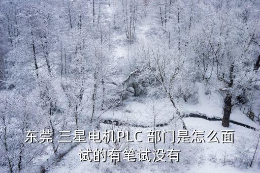 東莞 三星電機(jī)PLC 部門是怎么面試的有筆試沒(méi)有