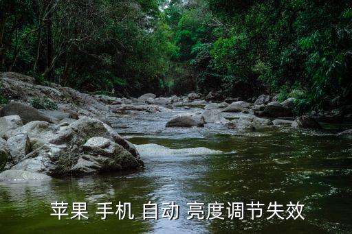 蘋果手機沒有自動亮度,蘋果手機亮度不被調(diào)整有兩個可能原因