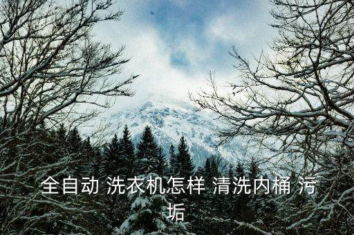  全自動(dòng) 洗衣機(jī)怎樣 清洗內(nèi)桶 污垢