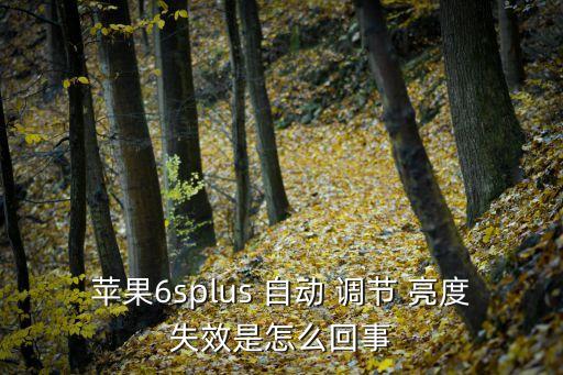 6plus自動調(diào)節(jié)亮度開關,手拿開手機點亮屏幕就能調(diào)節(jié)亮度