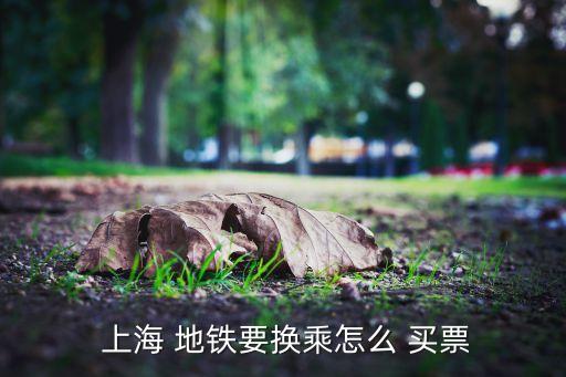 上海地鐵自動(dòng)怎么買票,上海地鐵如何換乘?