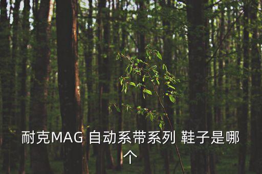 自動(dòng)系攜帶鞋子,joe11自動(dòng)系鞋帶不用關(guān)電源鞋子會(huì)睡覺