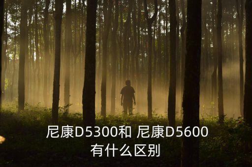 尼康d5600能自動對,康尼數(shù)碼相機0.02秒內對焦