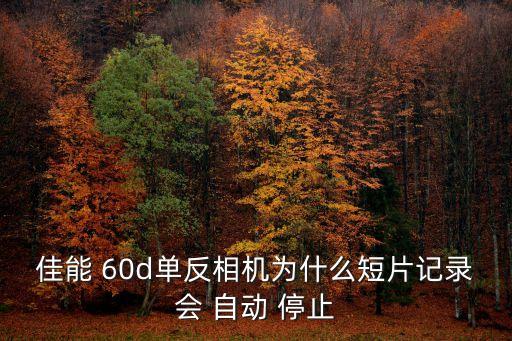 佳能 60d單反相機(jī)為什么短片記錄會(huì) 自動(dòng) 停止