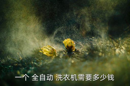 全自動(dòng)烘干洗衣機(jī)多少錢,洗衣機(jī)知多少?問(wèn)與答（13）