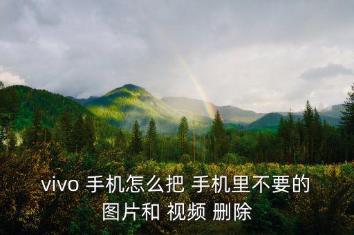 vivo 手機(jī)怎么把 手機(jī)里不要的圖片和 視頻 刪除