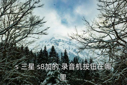 s 三星 s8加的 錄音機(jī)按鈕在哪里