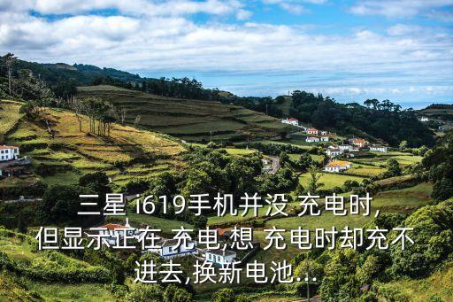  三星 i619手機并沒 充電時,但顯示正在 充電,想 充電時卻充不進去,換新電池...