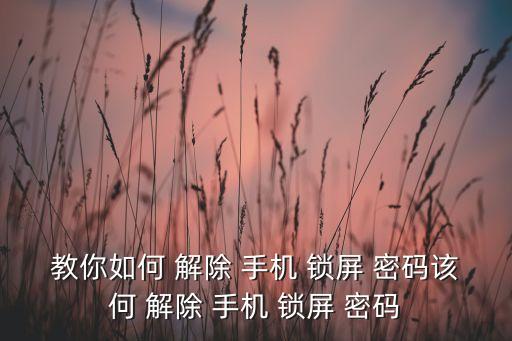 怎樣解除手機(jī)自動鎖屏密碼,點(diǎn)擊鎖屏密碼選項(xiàng)即可進(jìn)入