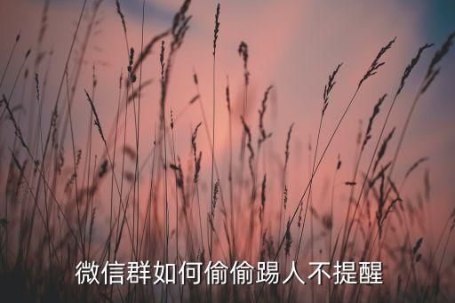  微信群如何偷偷踢人不提醒