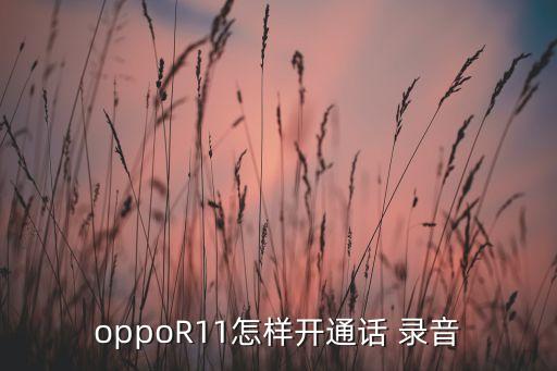 r11自動錄音,如何在蘋果手機上取消通話錄音功能?
