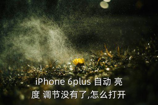 iPhone 6plus 自動 亮度 調節(jié)沒有了,怎么打開