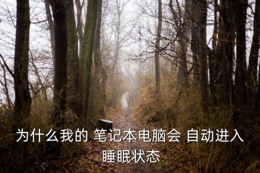 為什么我的 筆記本電腦會(huì) 自動(dòng)進(jìn)入 睡眠狀態(tài)