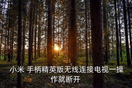  小米 手柄精英版無(wú)線(xiàn)連接電視一操作就斷開(kāi)