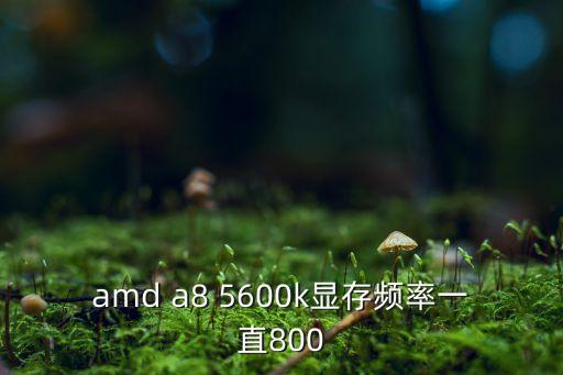 amd a8 5600k顯存頻率一直800