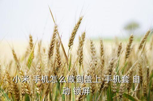 小米 手機(jī)怎么做到蓋上 手機(jī)套 自動 鎖屏