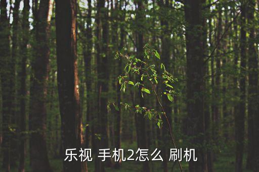 樂(lè)視手機(jī)2自動(dòng)刷機(jī)多久,手機(jī)刷機(jī)崩潰怎么辦?