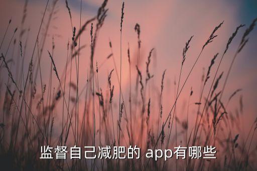 自動瘦身app軟件哪個好,堅(jiān)持運(yùn)動不孤獨(dú)