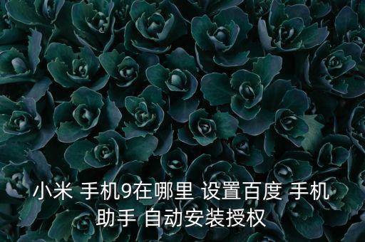 小米 手機(jī)9在哪里 設(shè)置百度 手機(jī)助手 自動(dòng)安裝授權(quán)