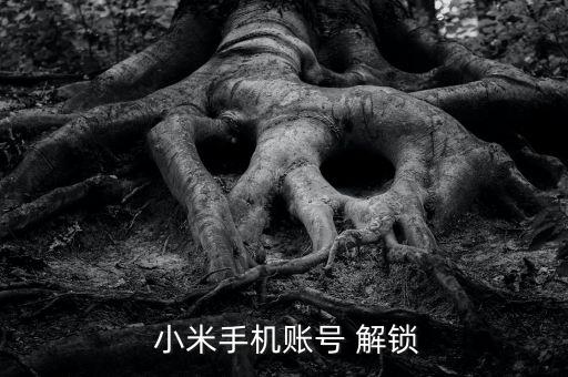 小米 升級(jí)8.2自動(dòng)解鎖,解鎖app需要用到什么?