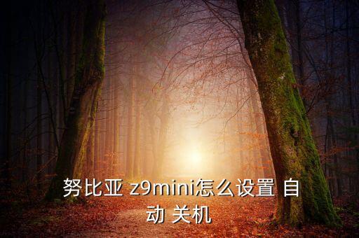  努比亞 z9mini怎么設(shè)置 自動 關(guān)機