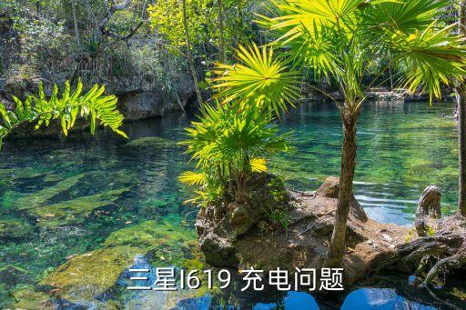 三星I619 充電問題