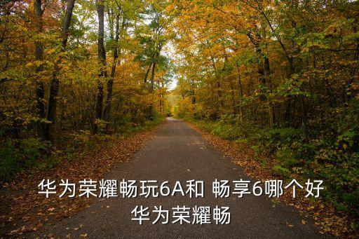 華為暢享6自動調(diào)節(jié)亮度,華為暢享6和榮耀暢玩6a對比如何?