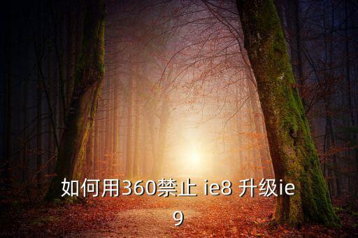 阻止ie8自動升級,你說ie8怎么辦?啟動菜單透明解決方案