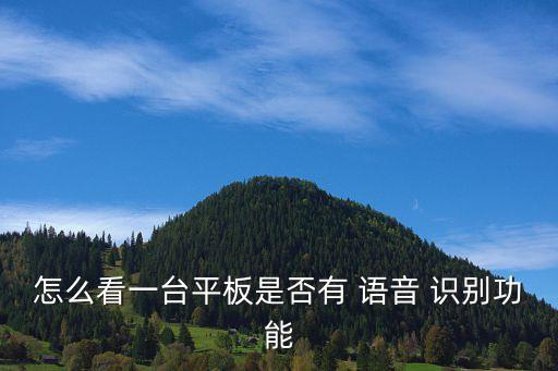 怎么看一臺平板是否有 語音 識別功能
