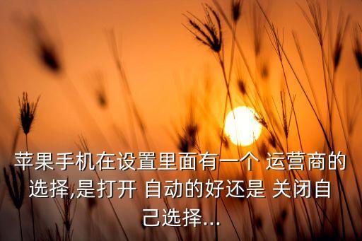 蘋果手機在設(shè)置里面有一個 運營商的選擇,是打開 自動的好還是 關(guān)閉自己選擇...