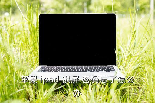 新ipad 自動(dòng)鎖屏密碼,關(guān)閉忘記密碼蘋(píng)果ipad怎么辦?