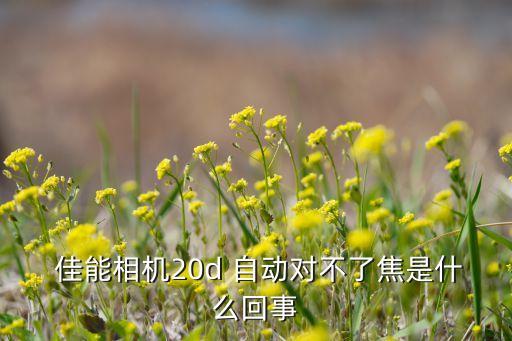  佳能相機(jī)20d 自動對不了焦是什么回事