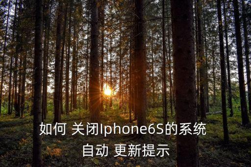 如何 關(guān)閉Iphone6S的系統(tǒng) 自動(dòng) 更新提示